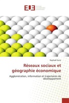Raphaël Suire, Suire-R - Reseaux sociaux et geographie
