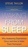 Steve Taylor - Waking from Sleep