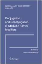 Marcu Groettrup, Marcus Groettrup - Conjugation and Deconjugation of Ubiquitin Family Modifiers