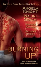 Meljean Brook, Virginia Kantra, Angela Knight, Nalini Singh - Burning Up