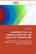 Collectif, Hassen Mnif, Hassene Mnif, Thomas Zimmer - Contribution a la modelisation