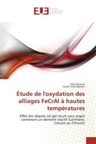 Henr BUSCAIL, Henri Buscail, Collectif, Cong Tung NGUYEN - Etude de l oxydation des alliages