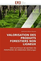 Apollinaire Biloso Moyene, Moyene-A - Valorisation des produits