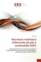 Elisa Lay, Lay-E - Nouveaux materiaux d electrode de