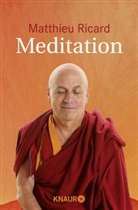 Matthieu Ricard - Meditation