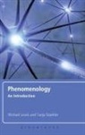 Michael Lewis, Michael Staehler Lewis, Tanja Staehler - Phenomenology