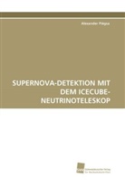 Alexander Piégsa - SUPERNOVA-DETEKTION MIT DEM ICECUBE-NEUTRINOTELESKOP