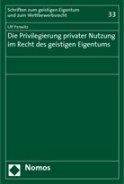 Ulf Perwitz - Die Privilegierung privater Nutzung im Recht des geistigen Eigentums