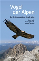 Pier L. Beraudo, Pier Luig Beraudo, Pier Luigi Beraudo, Brun Caula, Bruno Caula, Ma Pettavino... - Vögel der Alpen