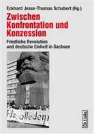 Christian Führer, Günther Heydemann, B Kögler, Mar Ohse, André Kahane, Eckhar Jesse... - Zwischen Konfrontation und Konzession