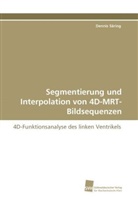 Dennis Säring - Segmentierung und Interpolation von 4D-MRT-Bildsequenzen