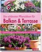 Brunhilde Bross-Burkhardt, Christine Weidenweber, Christine Weidenwerber - Die schönsten Pflanzideen für Balkon und Terrasse