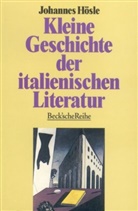 Johannes Hösle - Kleine Geschichte der italienischen Literatur