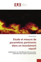 Nicolas Gascoin - Etude et mesure de paramètres pertinents dans un écoulement réactif