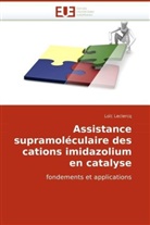Loïc Leclercq, LeClercq-L - Assistance supramoleculaire des