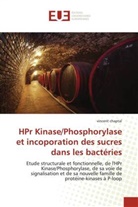vincent chaptal, Chaptal-V - Hpr kinase phosphorylase et