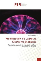 Nicolas LIEBEAUX - Modélisation de Capteurs Électromagnétiques