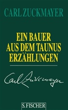 Carl Zuckmayer - Gesammelte Werke in Einzelbänden: Ein Bauer aus dem Taunus