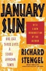 Richard Stengel - January Sun