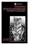 Richard Burns, Tom R Burns, Tom R Flam Burns, Tom R. Burns, Tom R. Flam Burns, Helena Flam... - Shaping of Social Organization