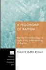 Tracey Mark Stout - A Fellowship of Baptism
