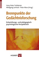 Wolfgan Lenhard, Wolfgang Lenhard, Peter Marx, Hans-Peter Trolldenier - Brennpunkte der Gedächtnisforschung