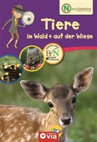 Feryal Kanbay - Tiere im Wald + auf der Wiese