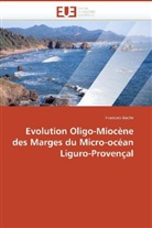 Francois Bache, Bache-F - Evolution oligo miocene des