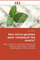 Julien Reboud, Reboud-j - Des micro gouttes pour remplacer