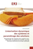 David Avanessoff, Avanessoff-D - Linearisation dynamique des