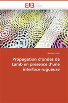 Damien Leduc, Leduc-D - Propagation d ondes de lamb en
