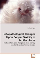 Dr Razia Iqbal, Dr. Razia Iqbal, Razia Iqbal - Histopathological Changes Upon Copper Toxicity in broiler chicks