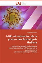 Sandra Bensmihen, Bensmihen-S - Bzips et maturation de la graine