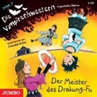 Franziska Gehm - Die Vampirschwestern 07. Der Meister des Drakung-Fu (Livre audio)
