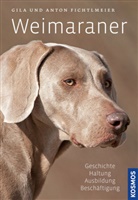 Anton Fichtlmeier, Gil Fichtlmeier, Gila Fichtlmeier - Weimaraner