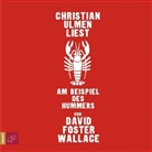 David Foster Wallace, David Foster Wallace, Christian Ulmen - Am Beispiel des Hummers, 1 Audio-CD (Hörbuch)