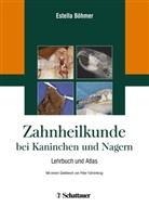 Estella Böhmer - Zahnheilkunde bei Kaninchen und Nagern
