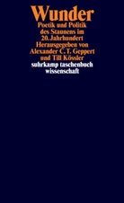 C T Geppert, Alexande C T Geppert, Alexander C T Geppert, Alexander C. T. Geppert, Alexander C.t. Geppert, Kössler... - Wunder