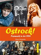 Elmar Schwenke - Ostrock! Popmusik in der DDR