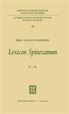 Emilia Giancotti Boscherini - Lexicon Spinozanum, 2 Vols.