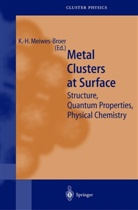 Karl-Heinz Meiwes-Broer - Metal Clusters at Surfaces