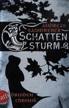 Andreas Saumweber - Schattensturm