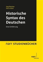 Jür Fleischer, Jürg Fleischer, Oliver Schallert, Olive Schallert, Oliver Schallert - Historische Syntax des Deutschen