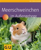 Esther Schmidt, Regina Kuhn - Meerschweinchen im Außengehege