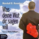 Marshall B Rosenberg, Marshall B. Rosenberg, Markus Hoffmann, Ulrike Hübschmann, Joachim Schönfeld, Ulrike Hübschmann... - Was deine Wut dir sagen will, 2 Audio-CDs (Hörbuch)