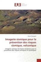 Florent Brenguier - Imagerie sismique pour la prévention des risques sismique, volcanique
