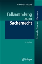 Ahrens, Claus Ahrens, Czeguh, Ignaci Czeguhn, Ignacio Czeguhn - Fallsammlung zum Sachenrecht