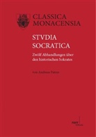 Andreas Patzer - Studia Socratica