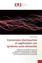 Mickaël Lallart, Lallart-m - Conversion electroactive et
