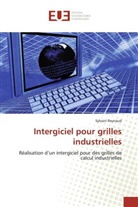 Sylvain Reynaud, Reynaud-s - Intergiciel pour grilles